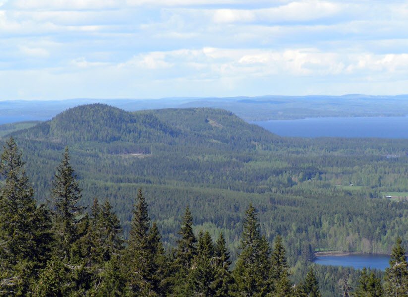 Koli National Park, North Karelia, Finland